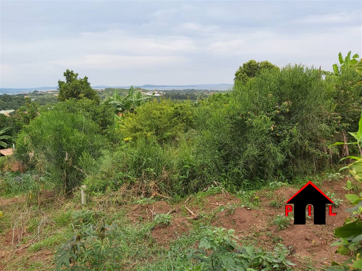 Agricultural Land for sale in Kikyuusa Luweero