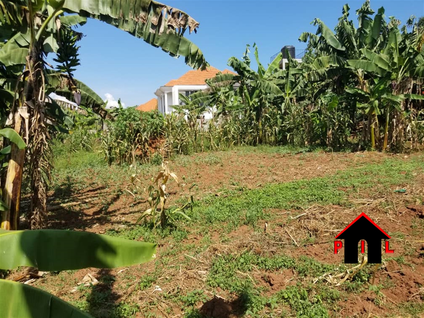 Agricultural Land for sale in Nabuuti Mukono