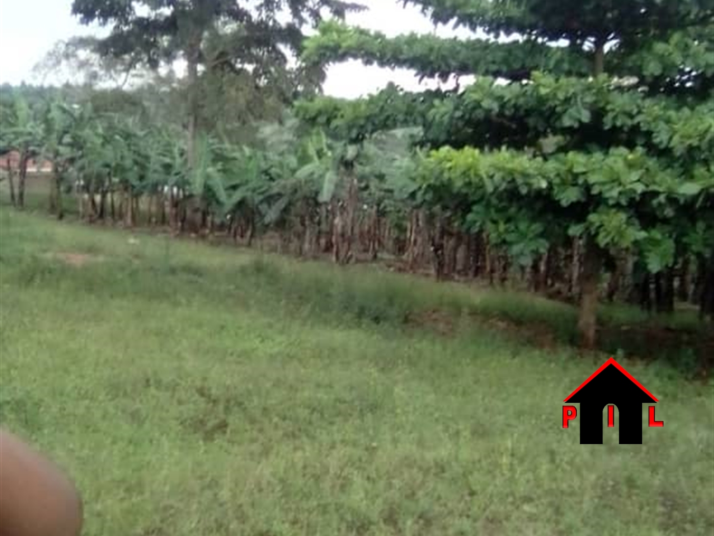 Agricultural Land for sale in Lyantonde Mbarara