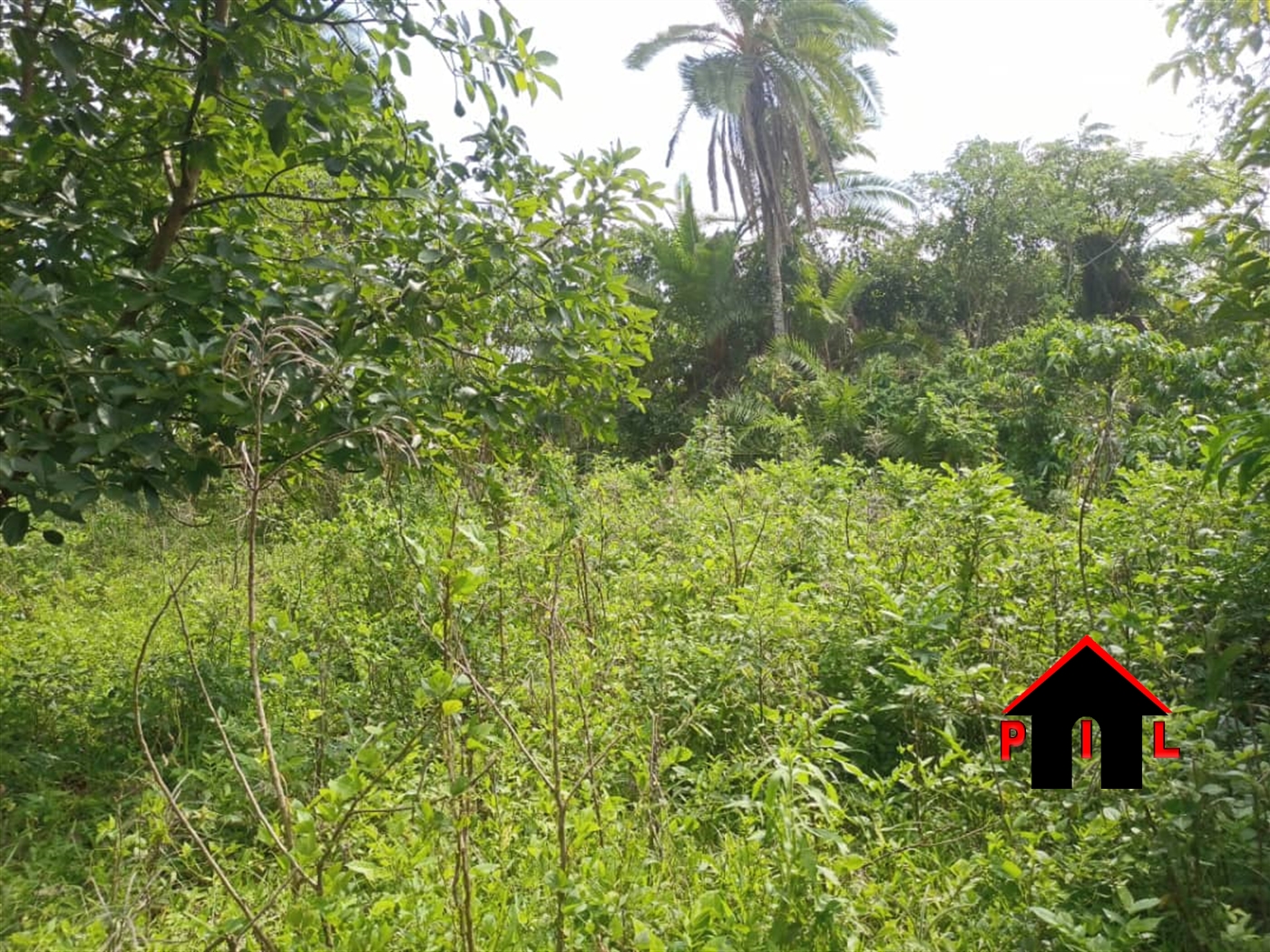 Residential Land for sale in Lutengo Mukono