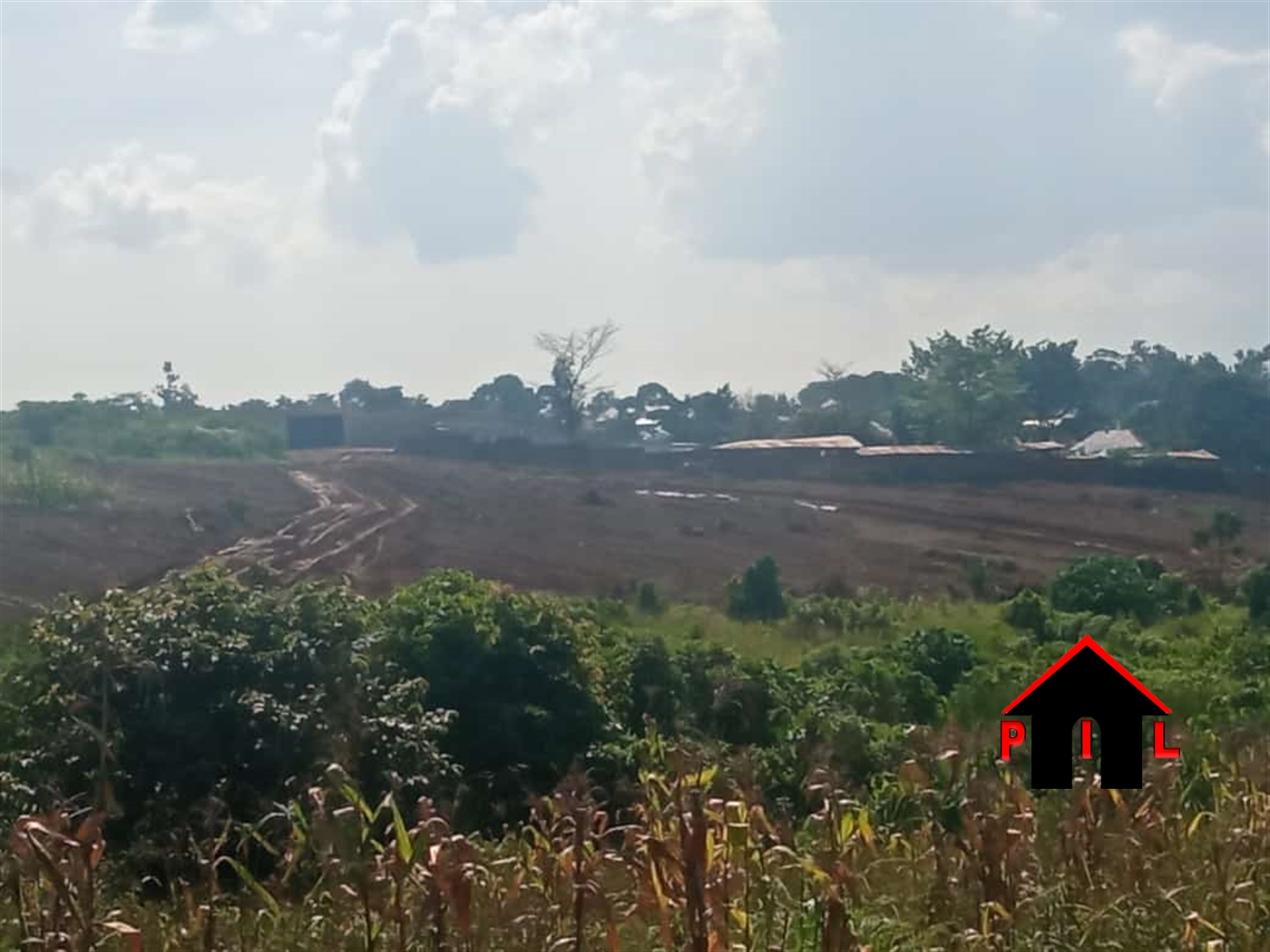 Agricultural Land for sale in Kiyunga Mukono