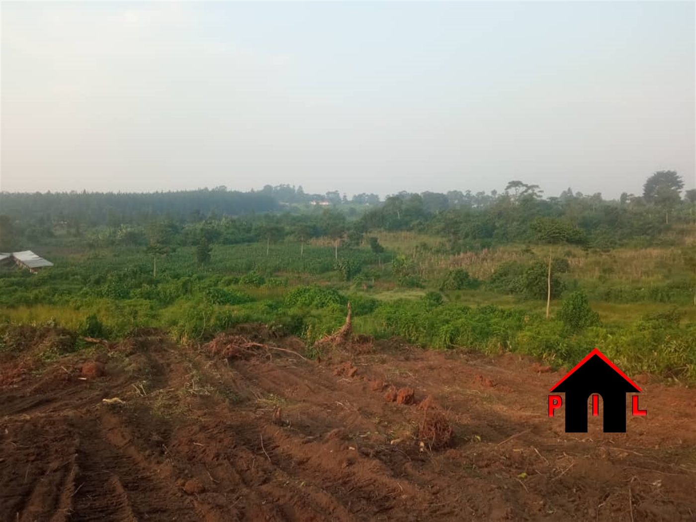 Agricultural Land for sale in Kiyunga Mukono