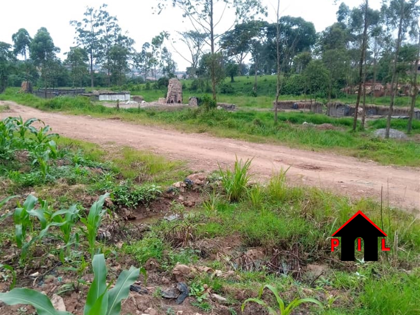 Agricultural Land for sale in Nangunga Buyikwe