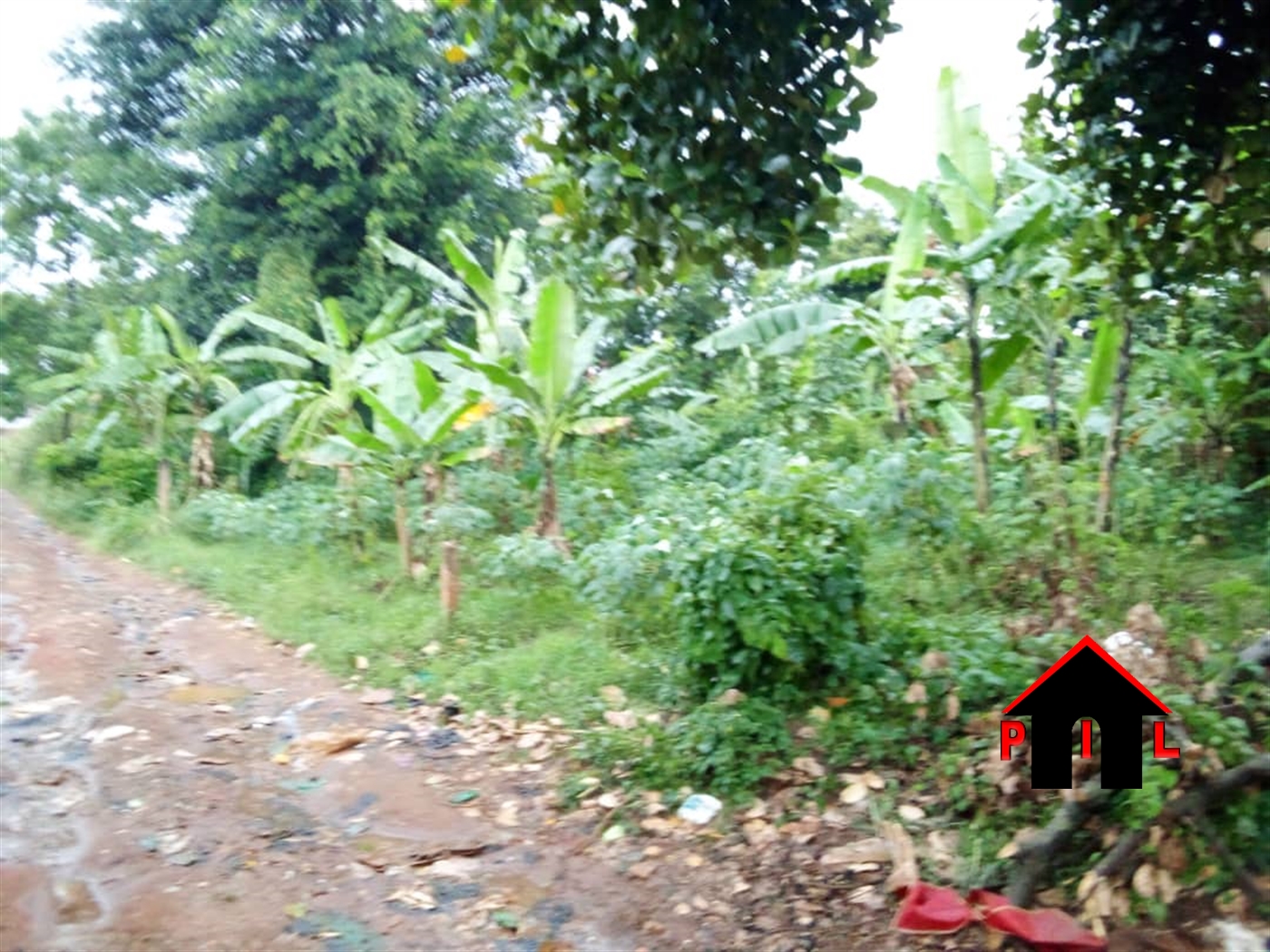 Agricultural Land for sale in Najjembe Buyikwe