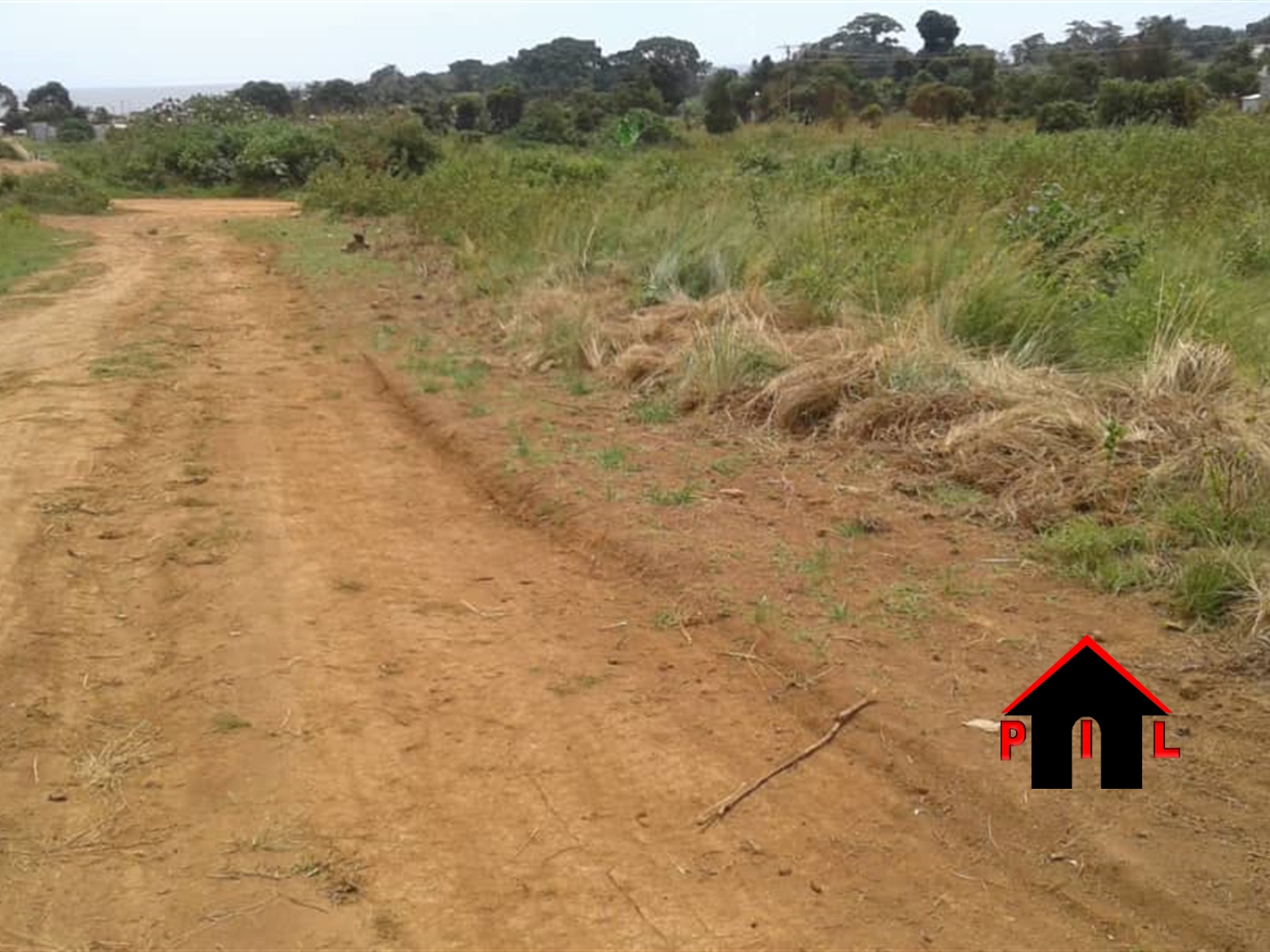 Agricultural Land for sale in Njeru Buyikwe