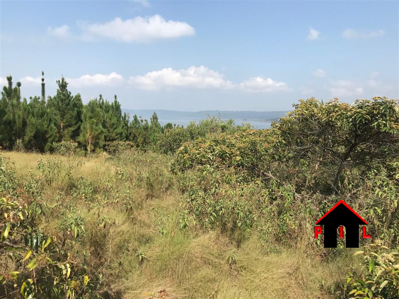 Agricultural Land for sale in Mwena Kalangala