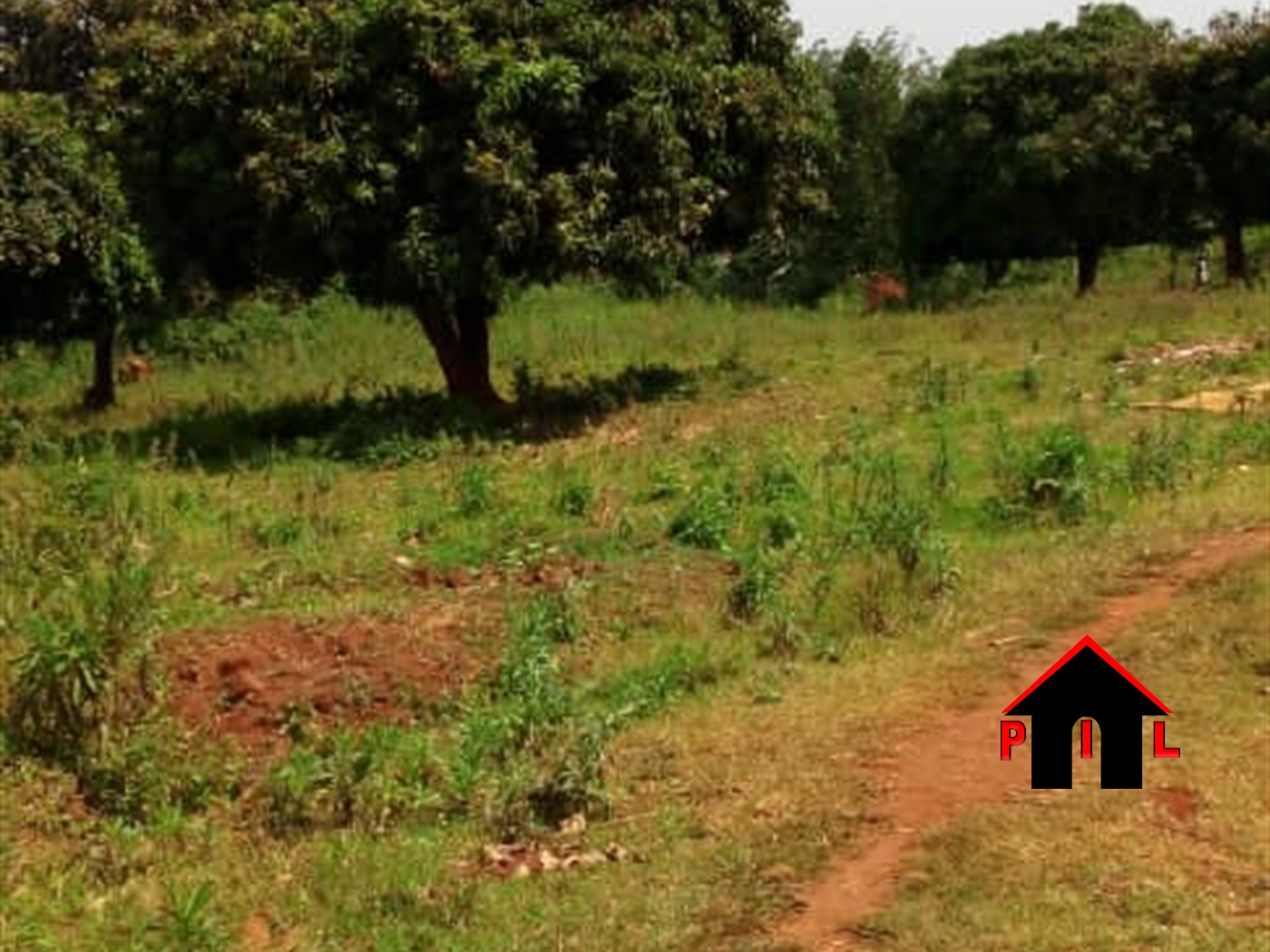 Residential Land for sale in Nyerere Mukono