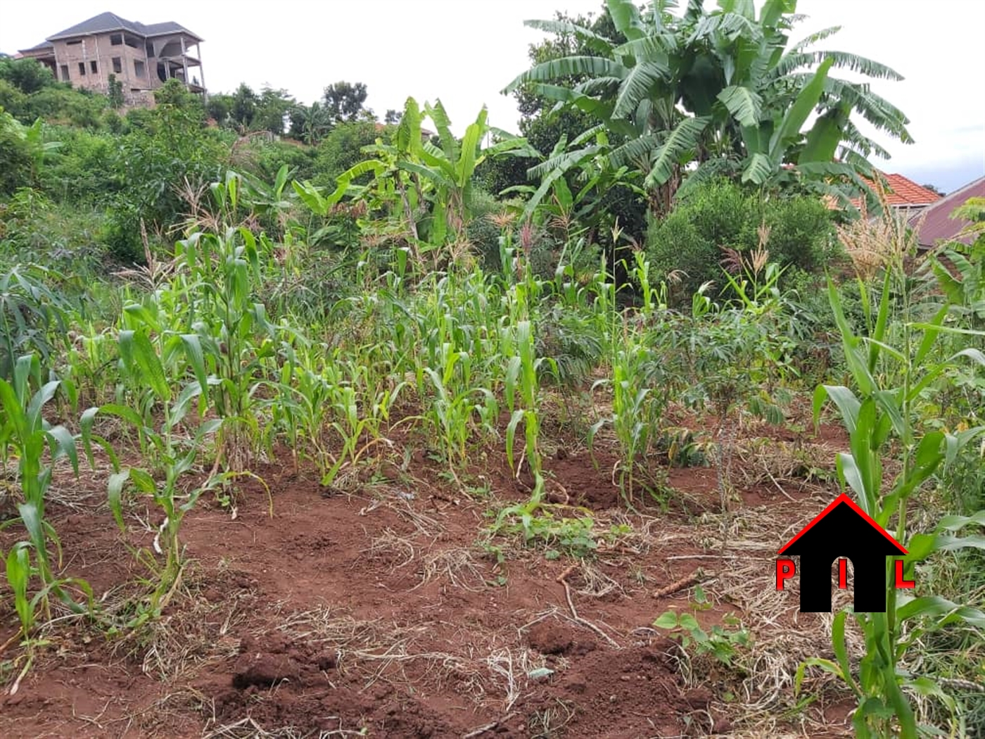 Agricultural Land for sale in Busiika Luweero