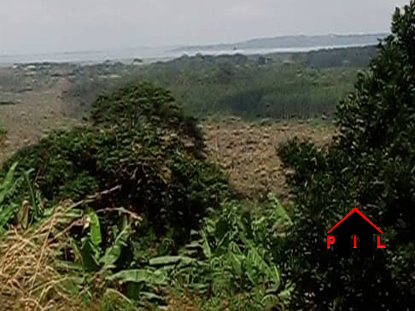 Residential Land for sale in Namagunga Mukono