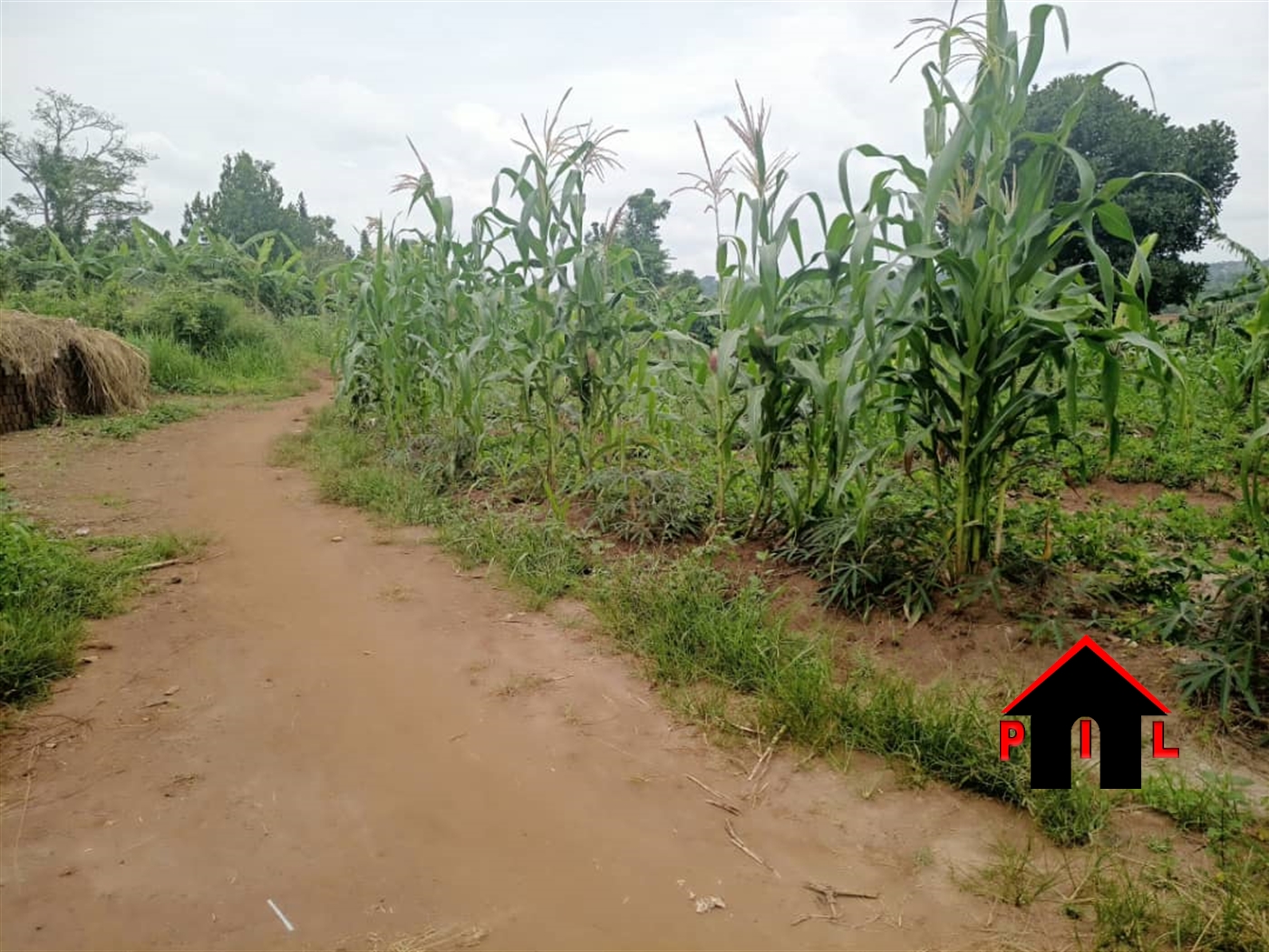 Residential Land for sale in Namataba Mukono