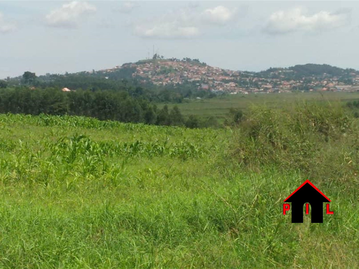 Agricultural Land for sale in Kisoga Gomba