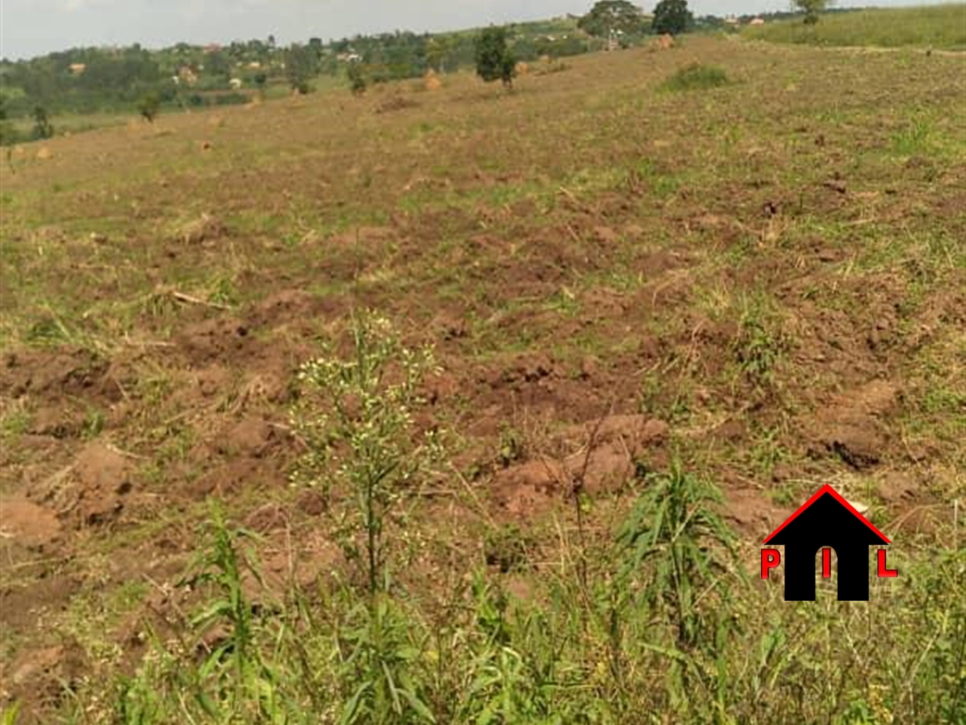 Agricultural Land for sale in Kisoga Gomba