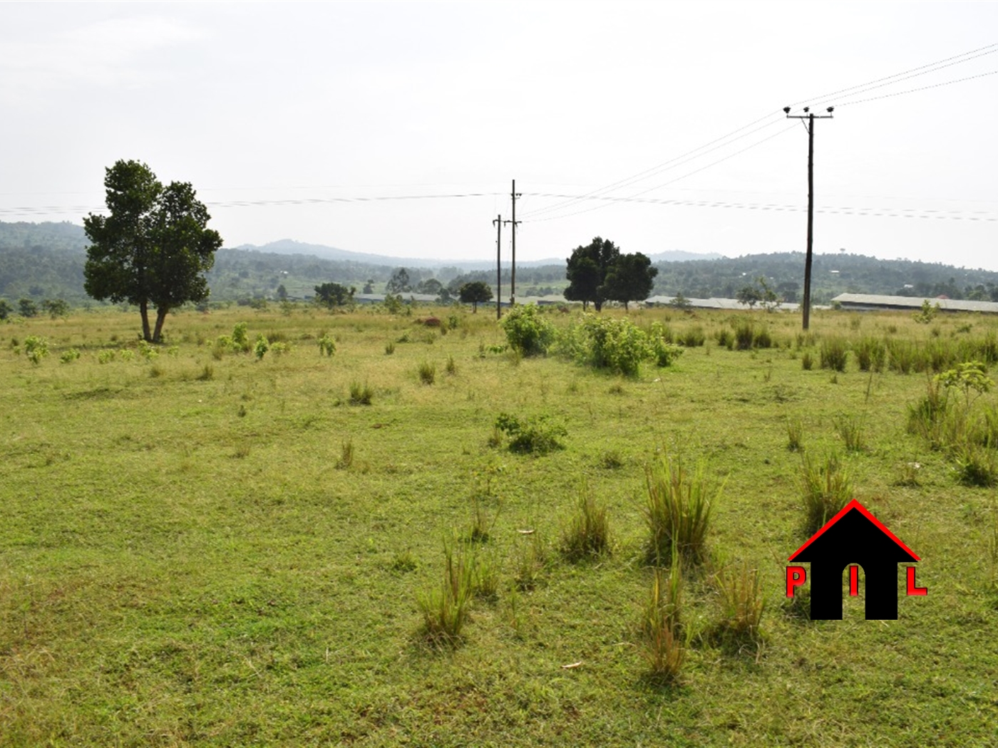 Agricultural Land for sale in Kisoga Gomba