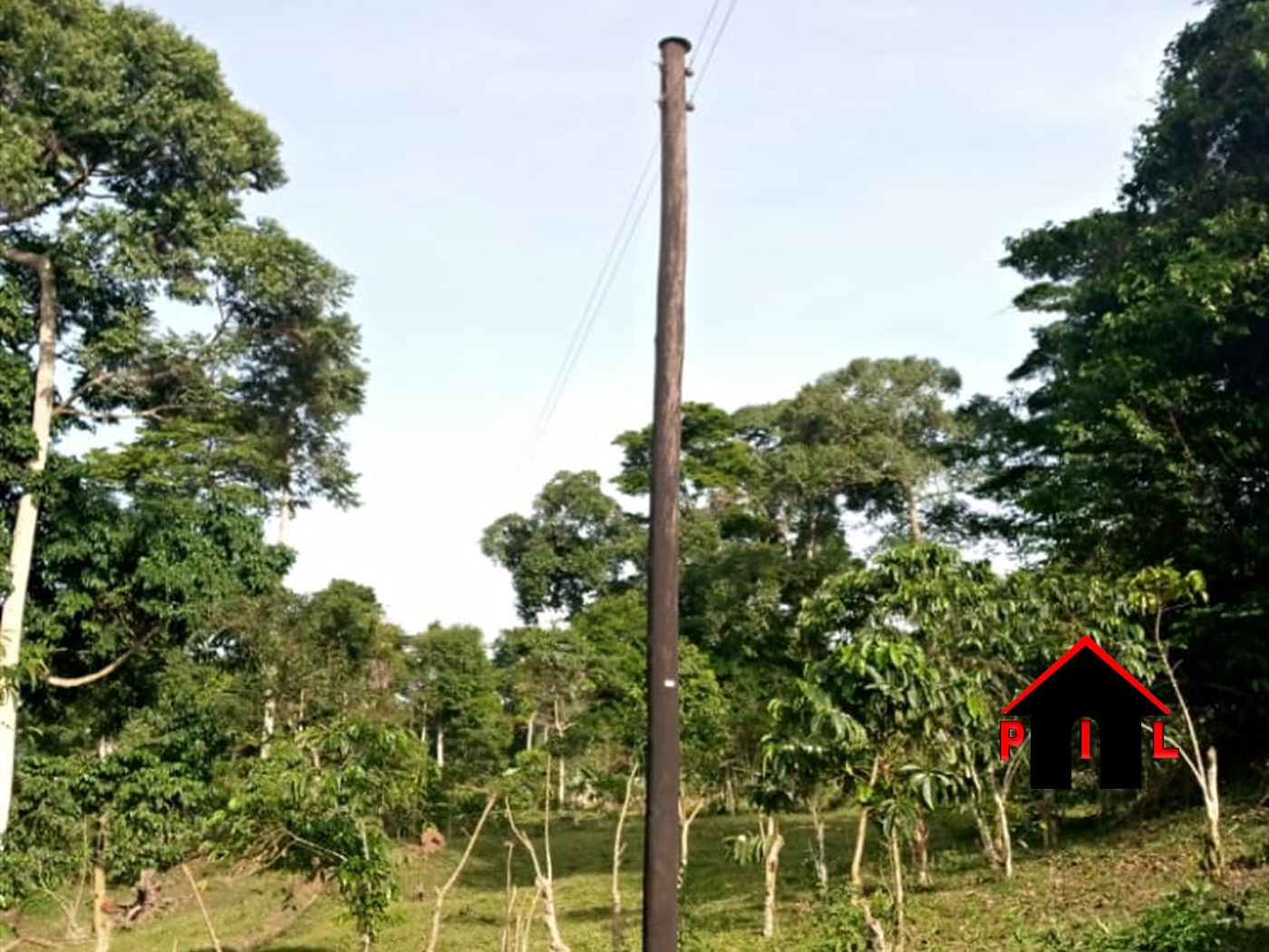 Agricultural Land for sale in Naggojje Mukono