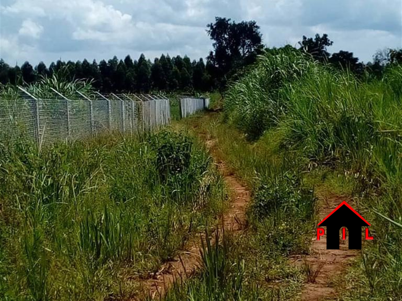 Residential Land for sale in Buddugala Mukono