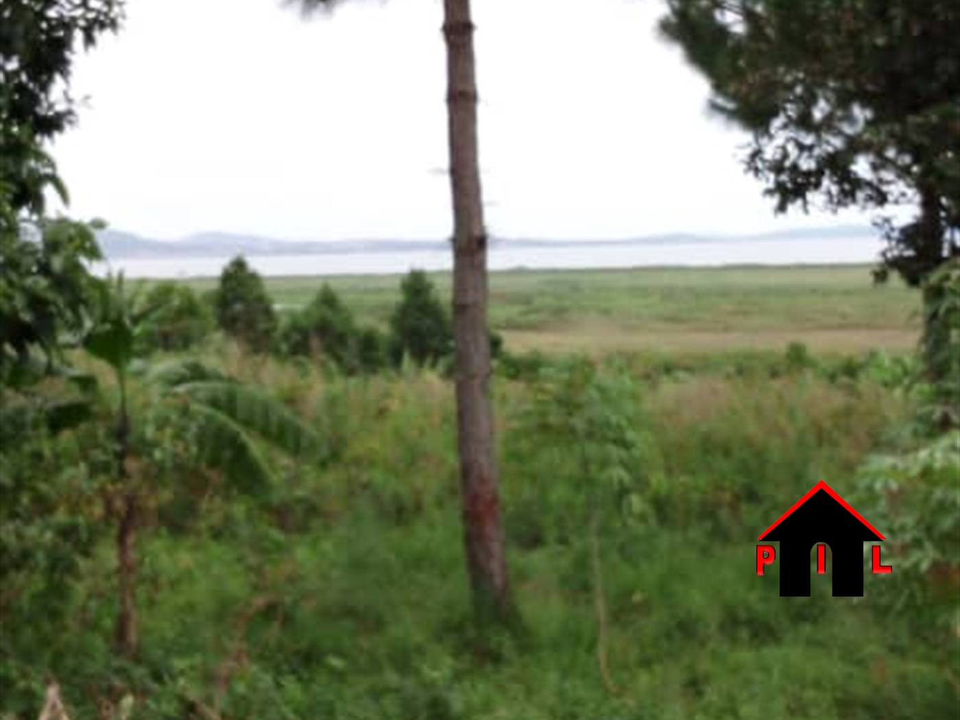 Agricultural Land for sale in Kikyuusa Luweero