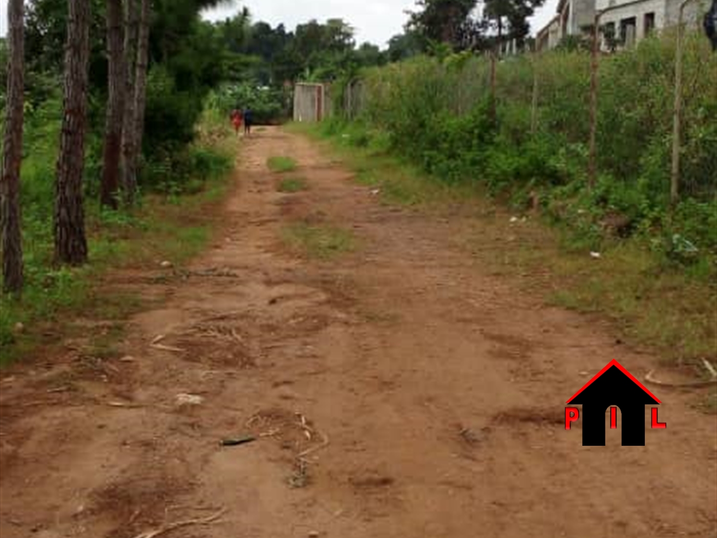 Agricultural Land for sale in Kikyuusa Luweero