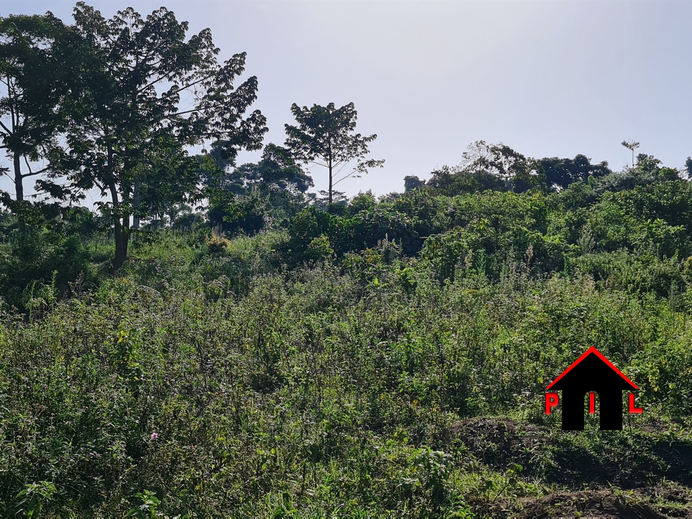 Agricultural Land for sale in Kyesiiga Masaka