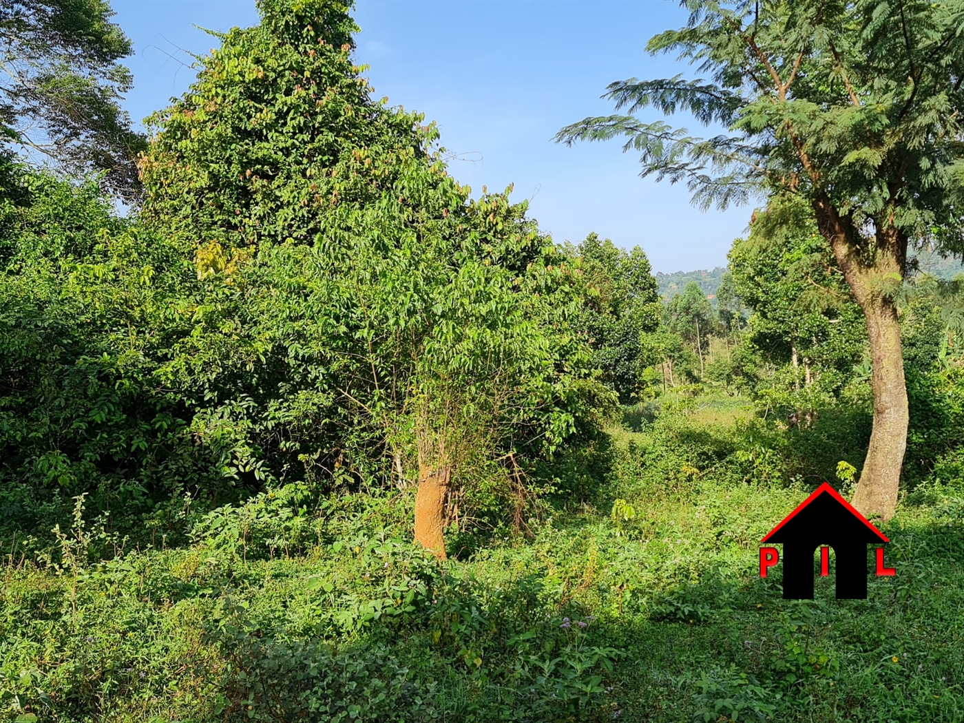 Agricultural Land for sale in Buswa Mubende