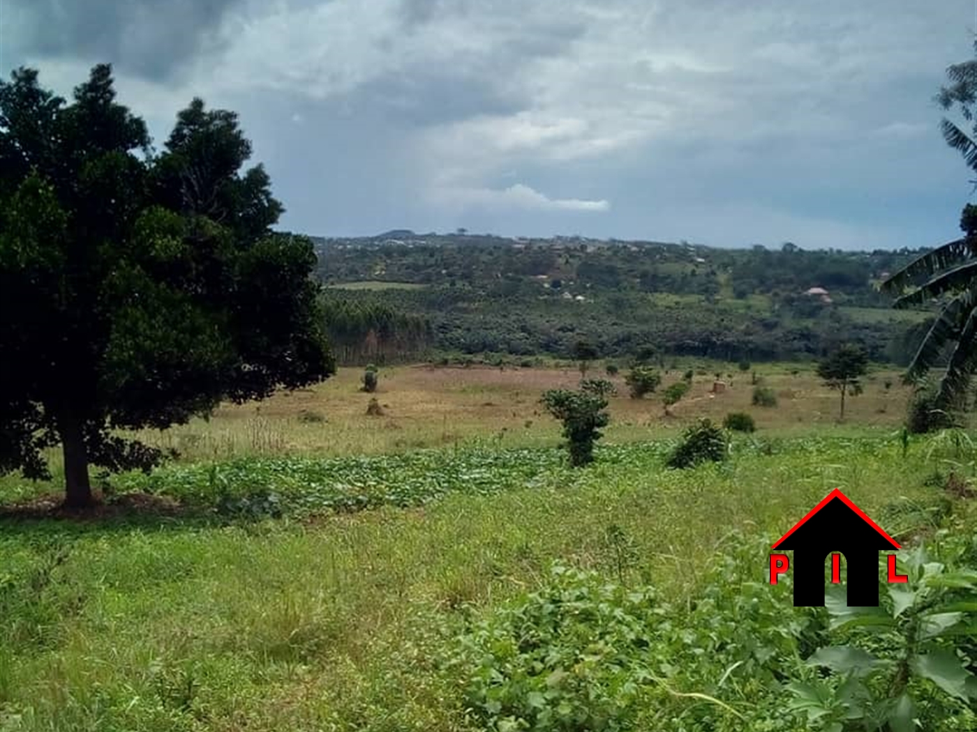 Commercial Land for sale in Bulwaanyi Wakiso