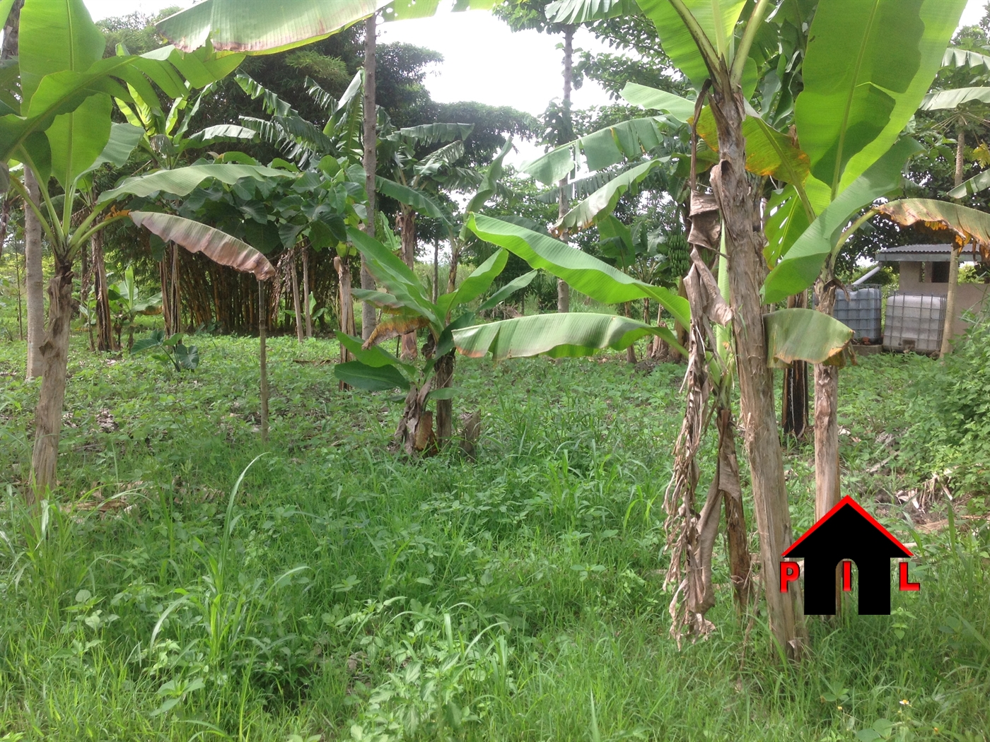 Agricultural Land for sale in Lukaya Kalungu