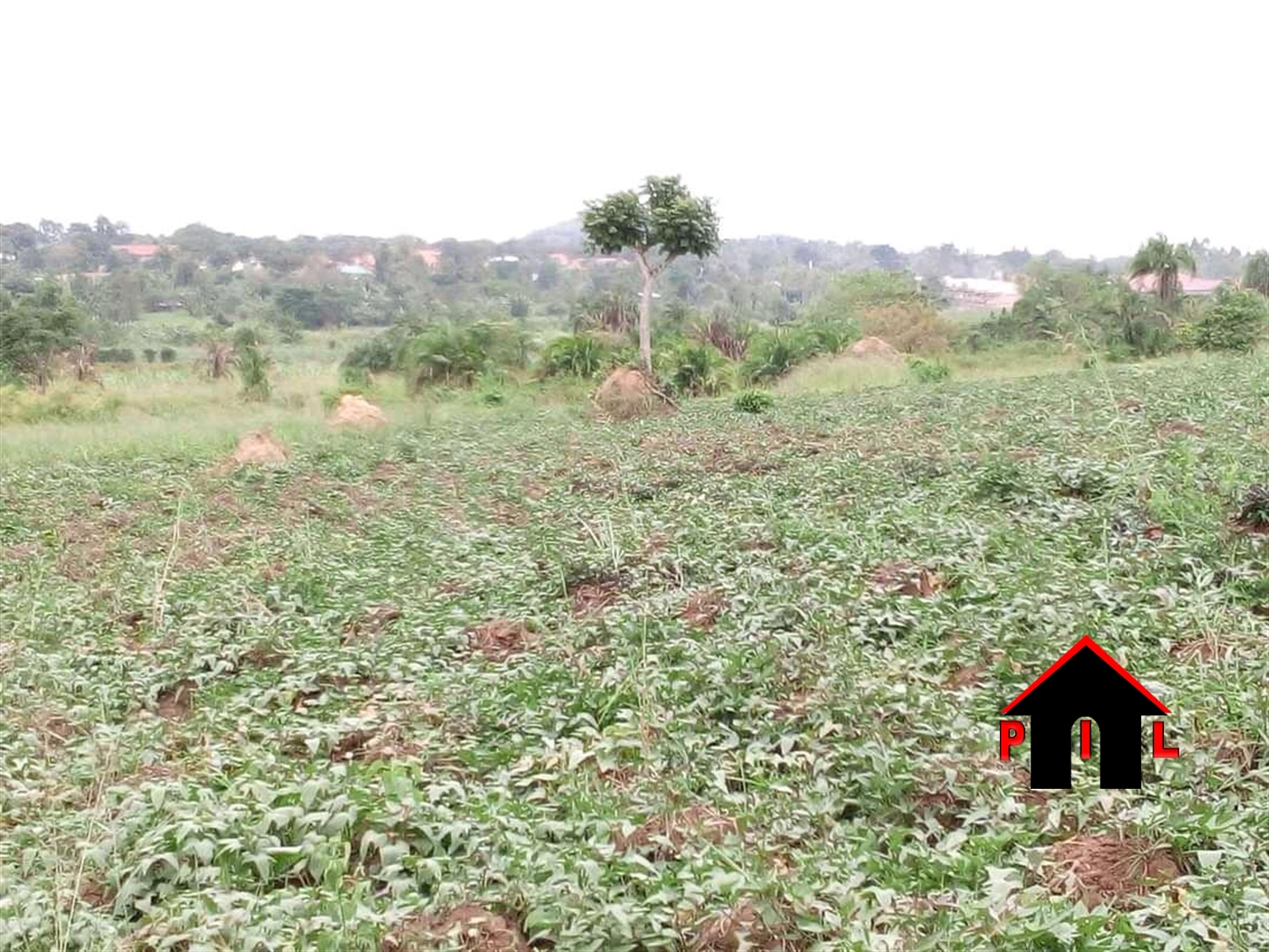 Residential Land for sale in Ngando Mpigi
