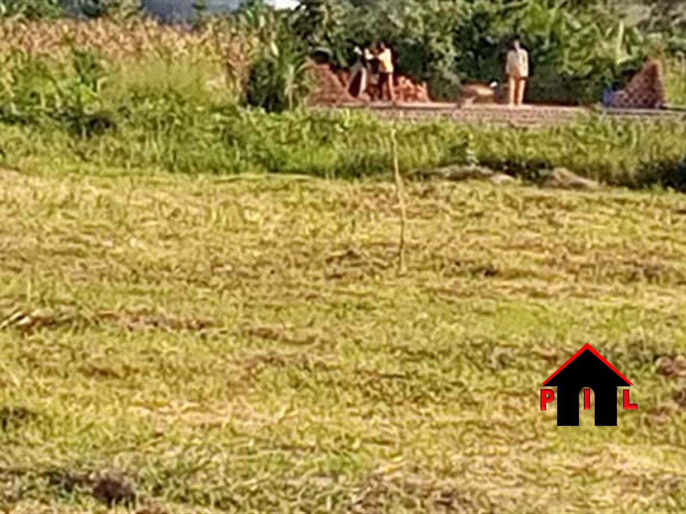 Residential Land for sale in Kiwumu Mukono