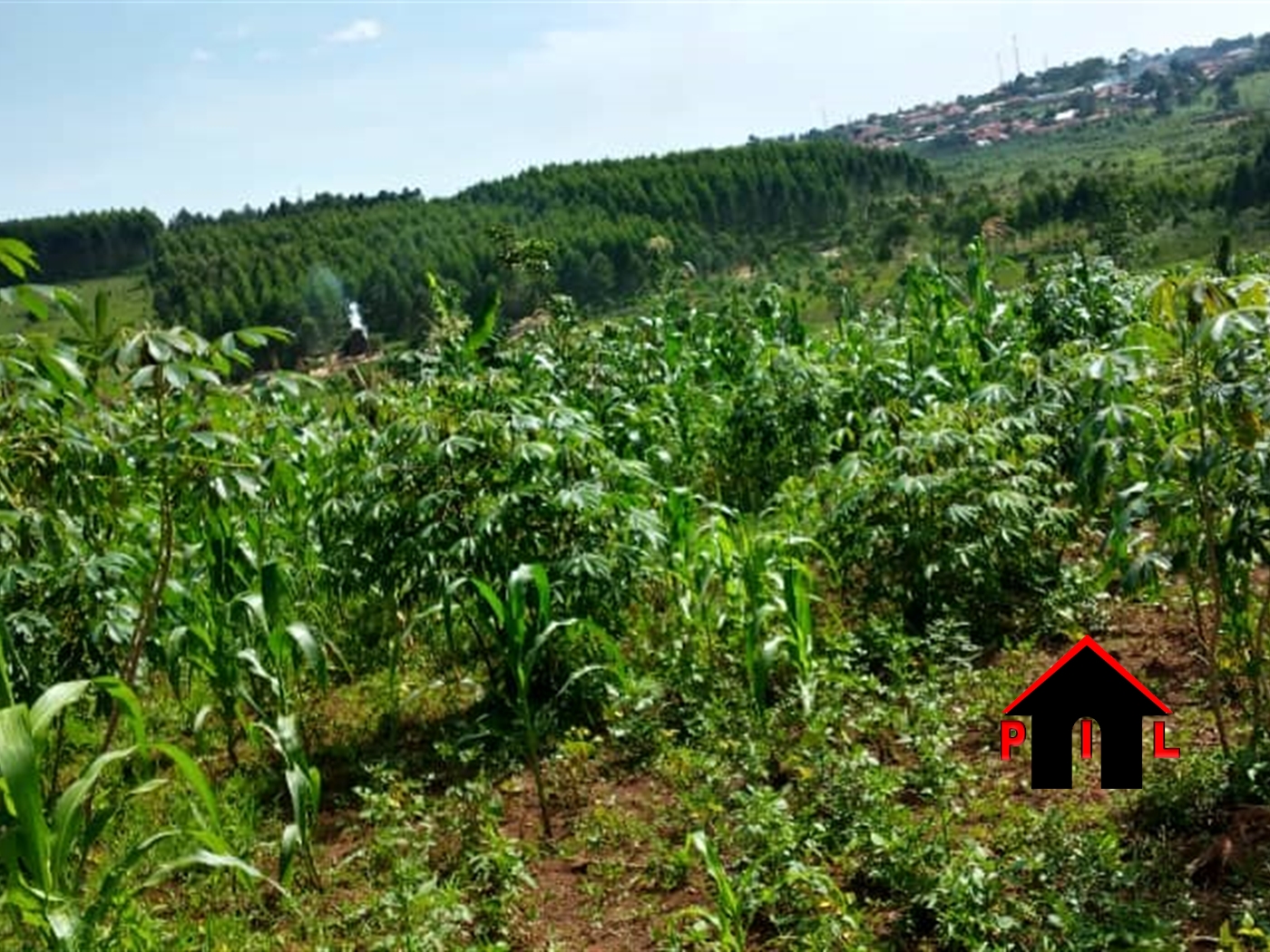 Agricultural Land for sale in Kabimbili Wakiso