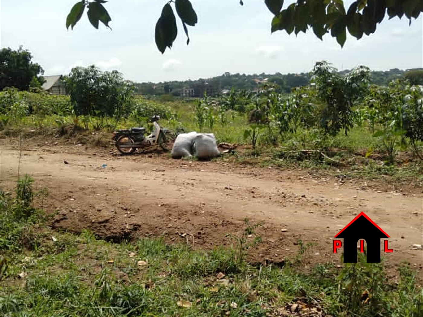 Agricultural Land for sale in Kabimbili Wakiso