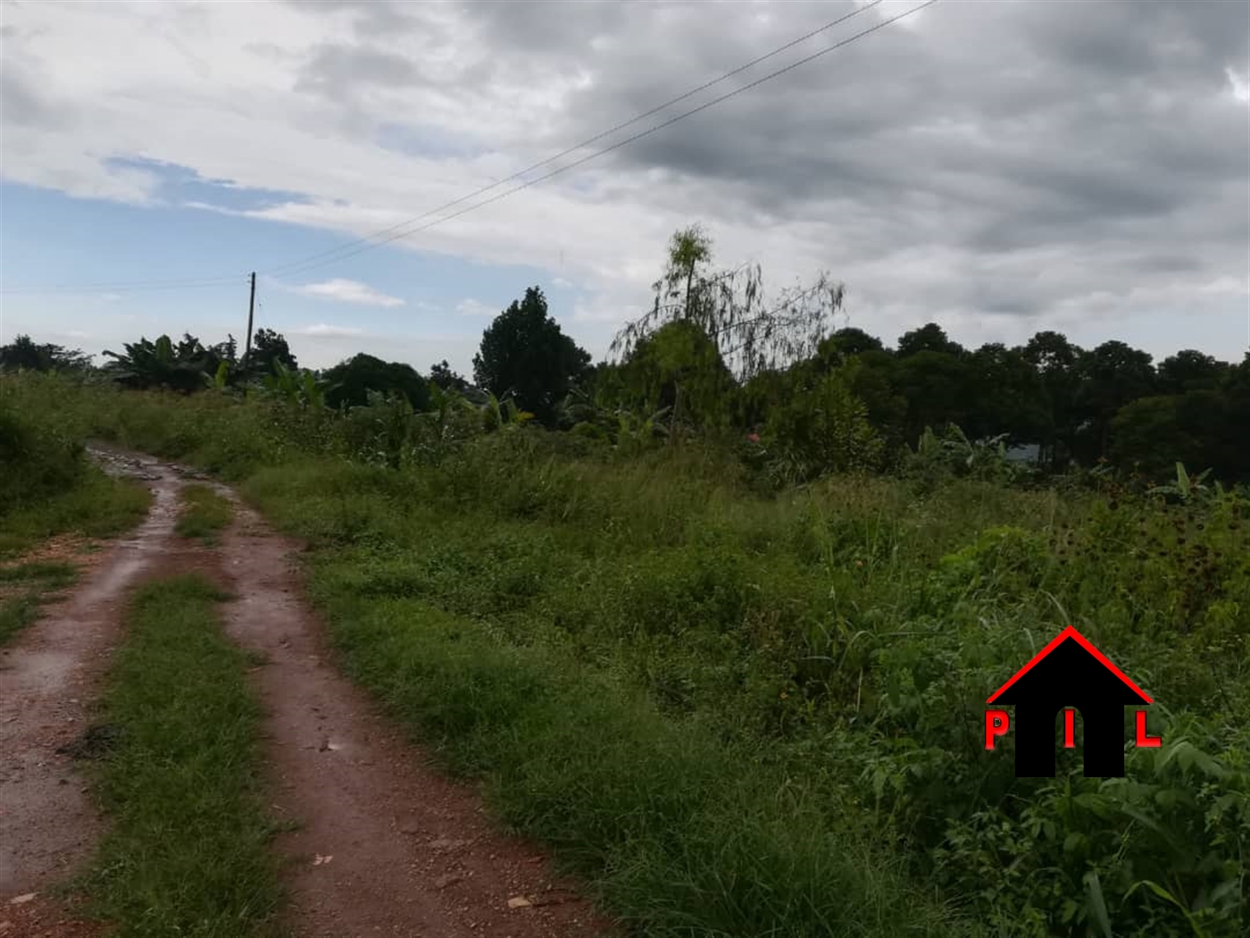 Agricultural Land for sale in Lwabenge Kalungu