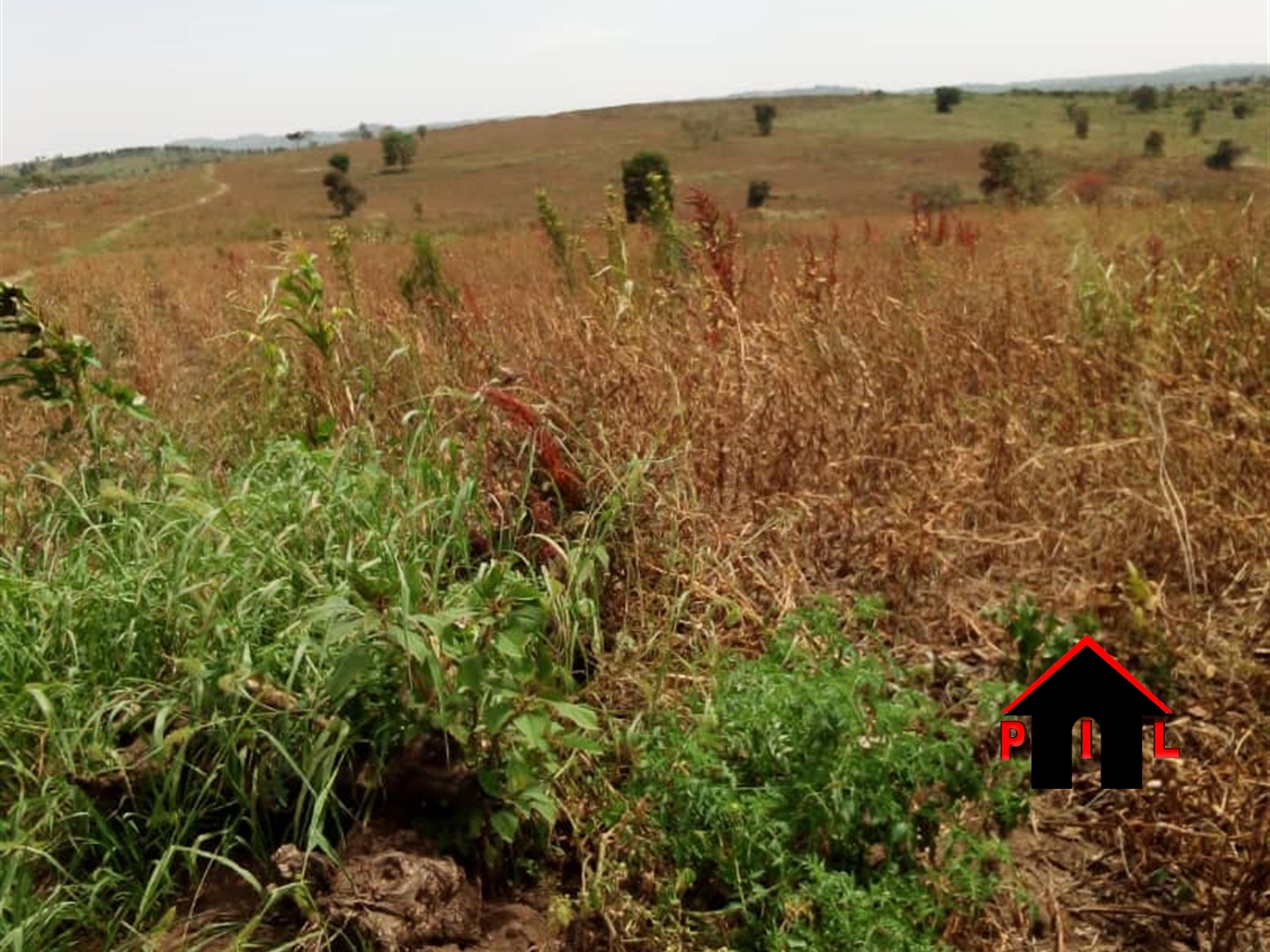 Commercial Land for sale in Kiwanga Mukono