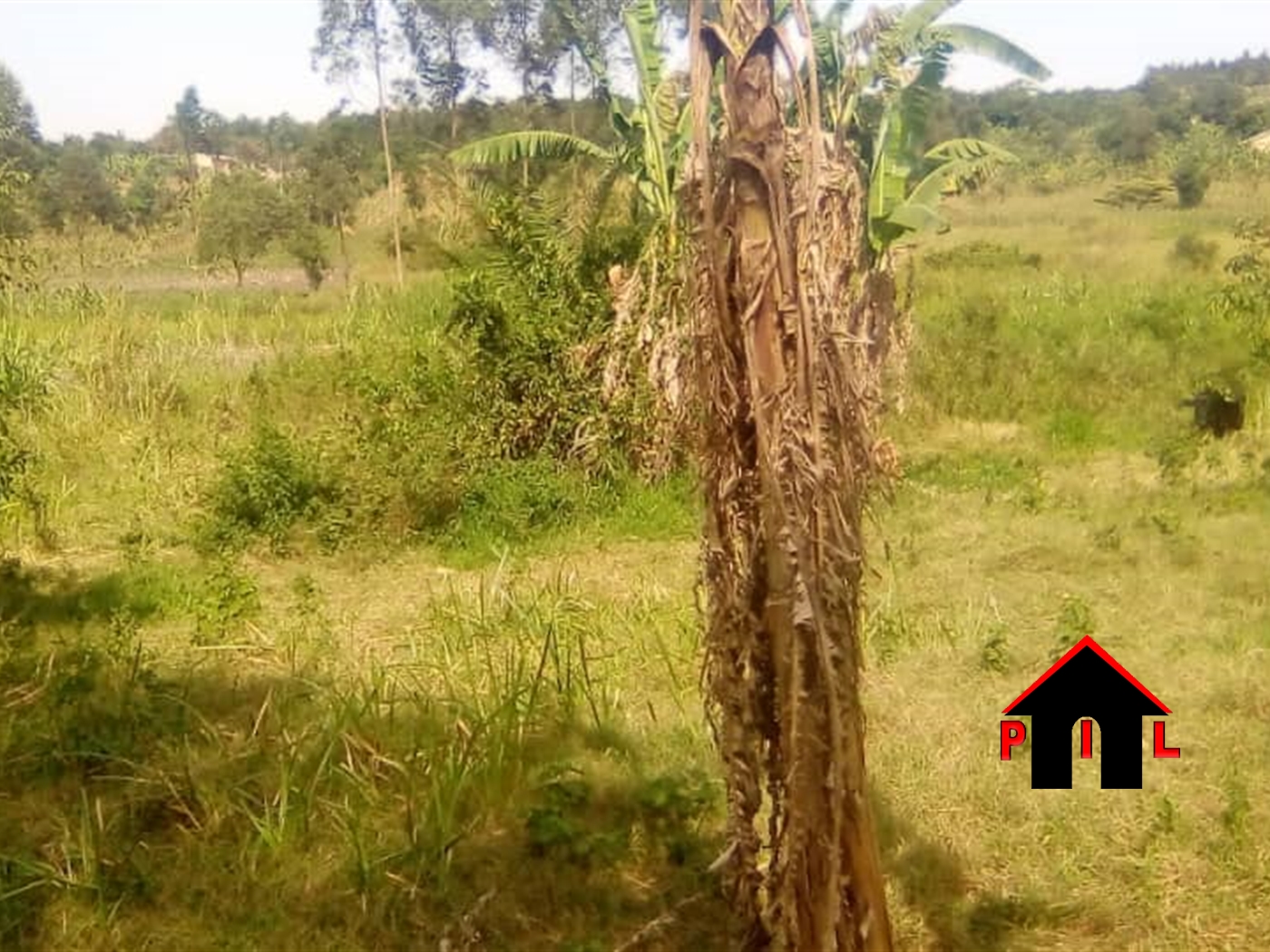 Commercial Land for sale in Kiwanga Mukono