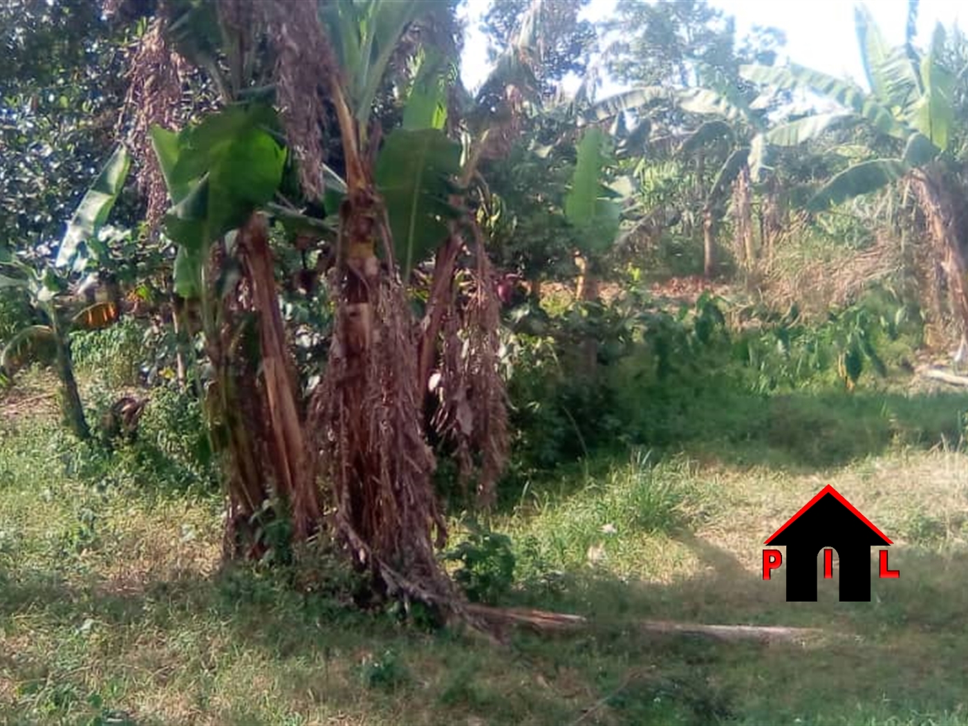 Commercial Land for sale in Kiwanga Mukono