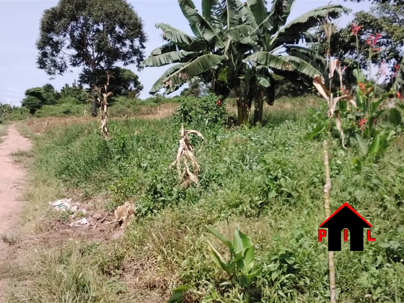 Agricultural Land for sale in Gayaza Wakiso