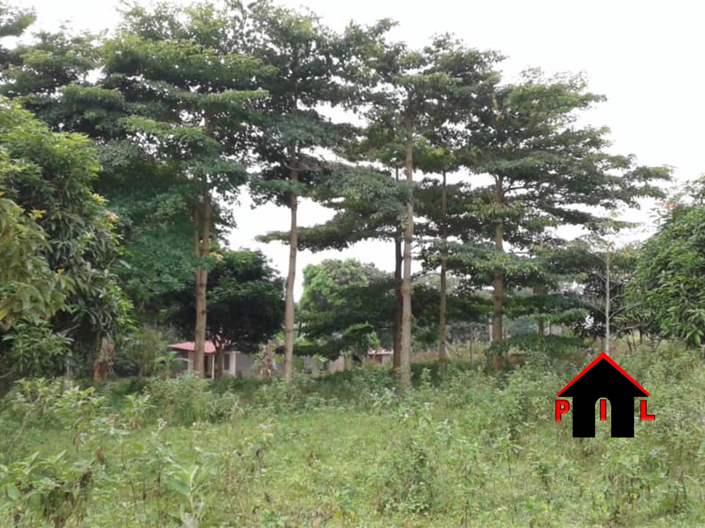 Residential Land for sale in Bugobagoba Wakiso