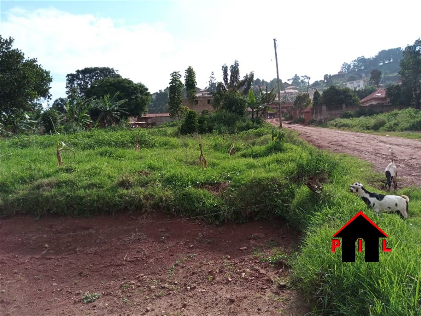 Agricultural Land for sale in Kamengo Mpigi