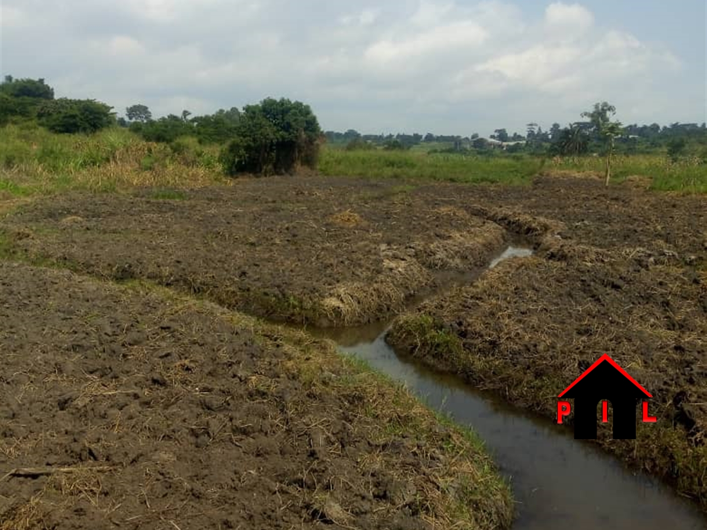 Agricultural Land for sale in Ziloobwe Luweero