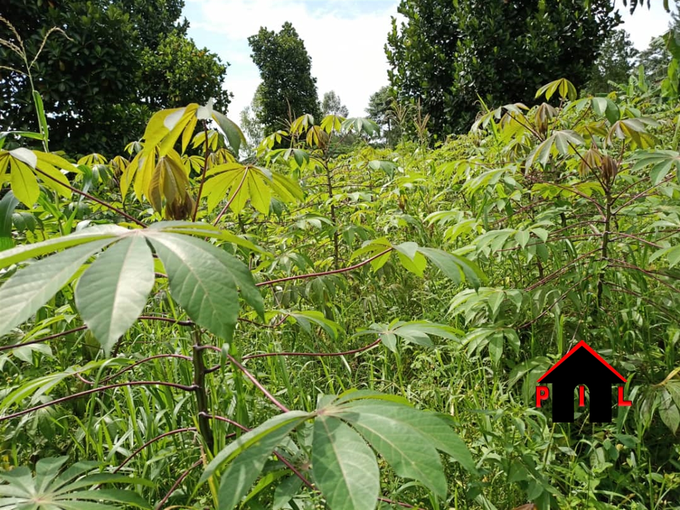Agricultural Land for sale in Katalemwa Wakiso