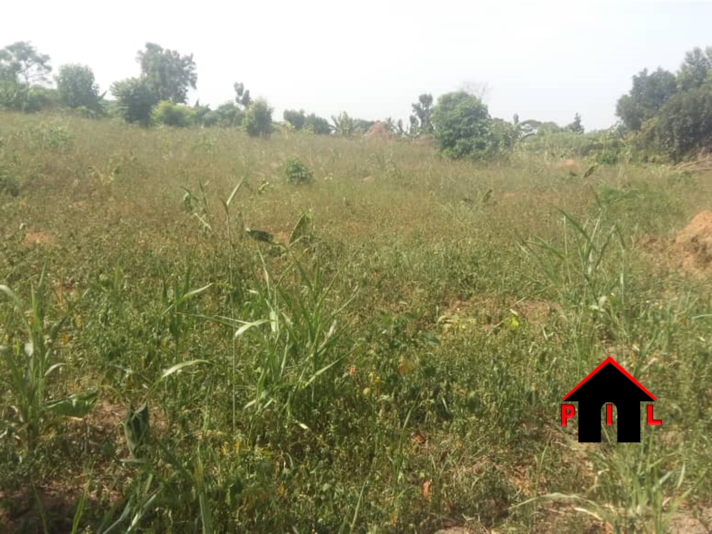 Agricultural Land for sale in Kakoba Mbarara