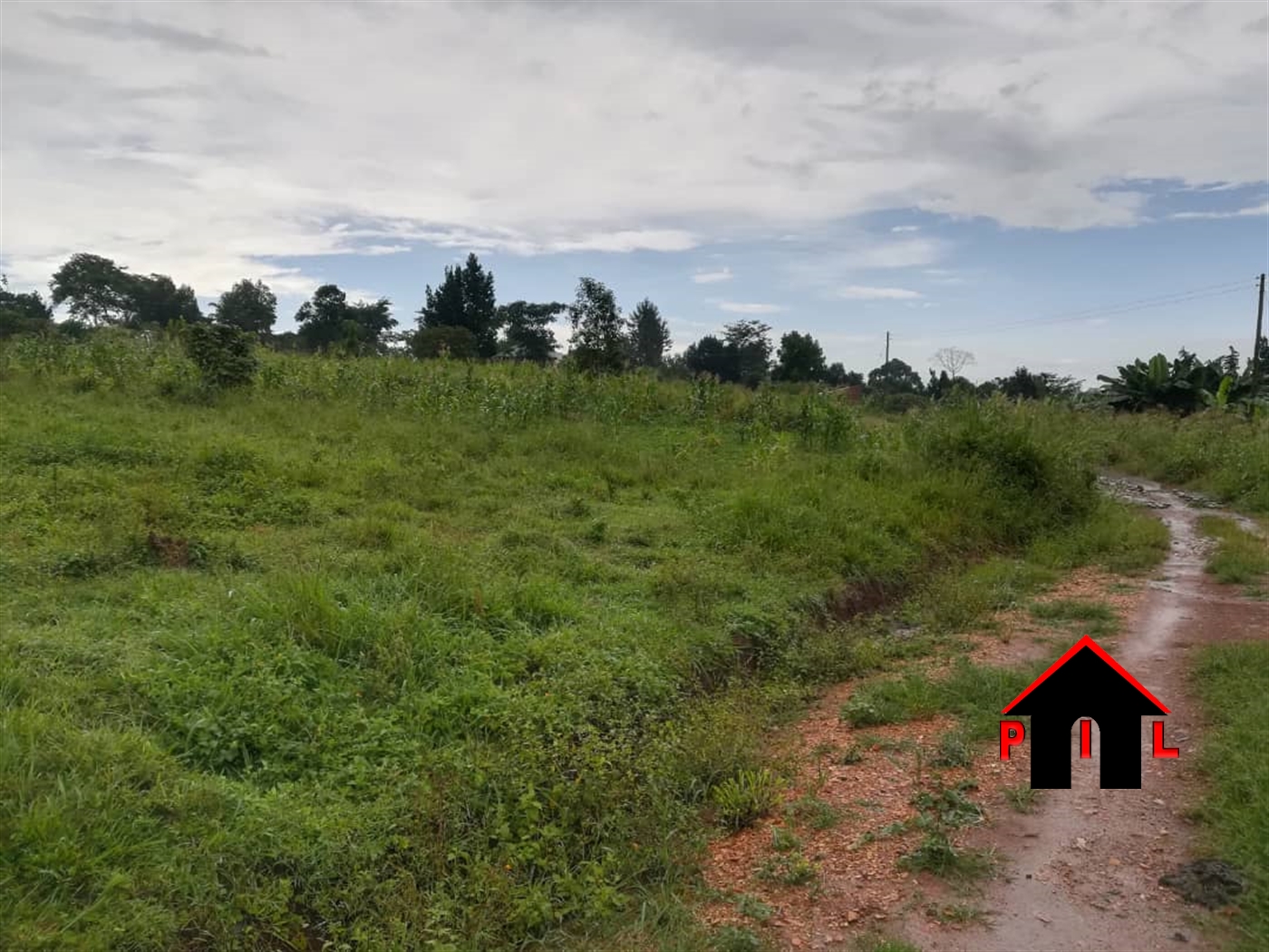 Agricultural Land for sale in Biharwe Mbarara