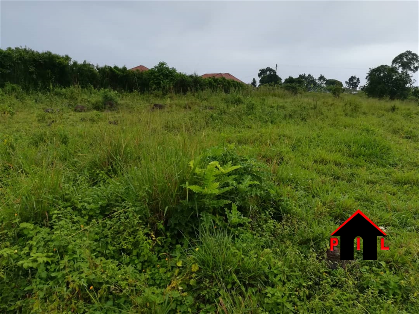 Agricultural Land for sale in Biharwe Mbarara