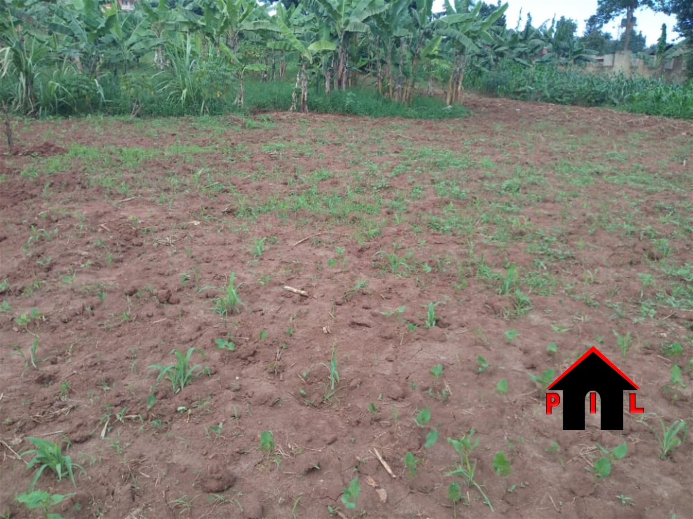 Agricultural Land for sale in Kashaka Mbarara