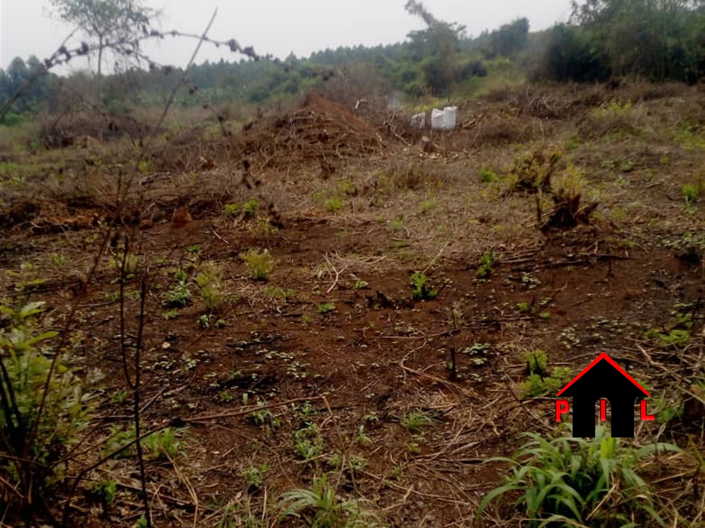 Agricultural Land for sale in Lukiizi Luweero