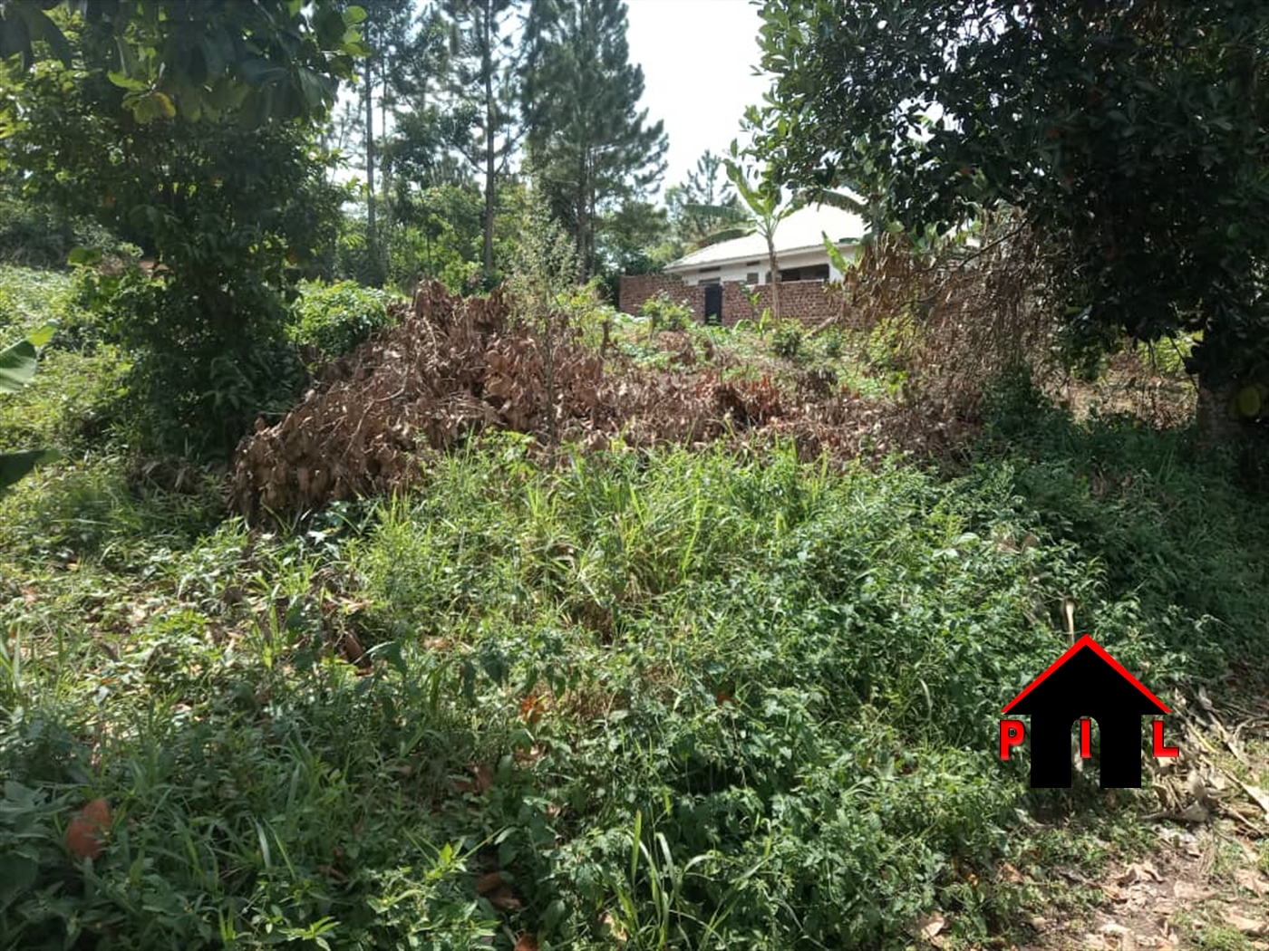 Agricultural Land for sale in Kiganda Wakiso