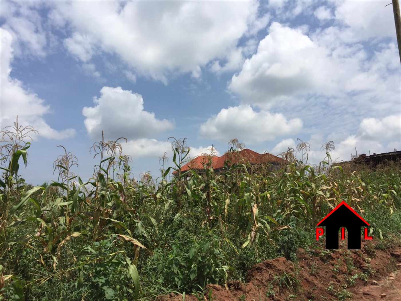 Agricultural Land for sale in Kigonge Mubende