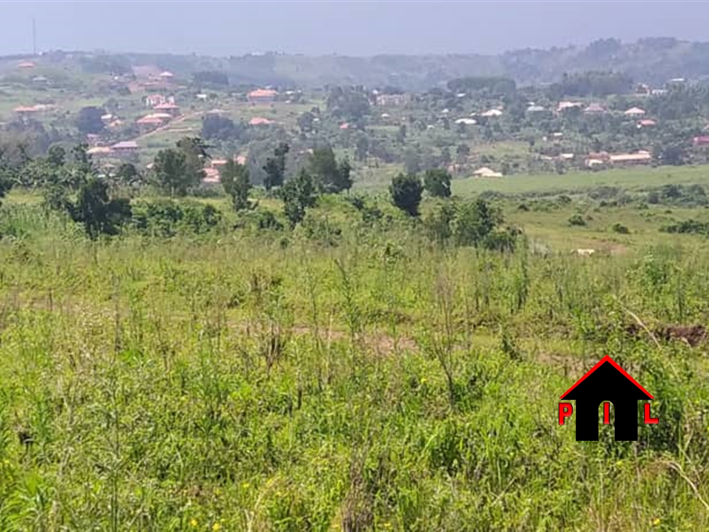 Agricultural Land for sale in Katongole Mbarara