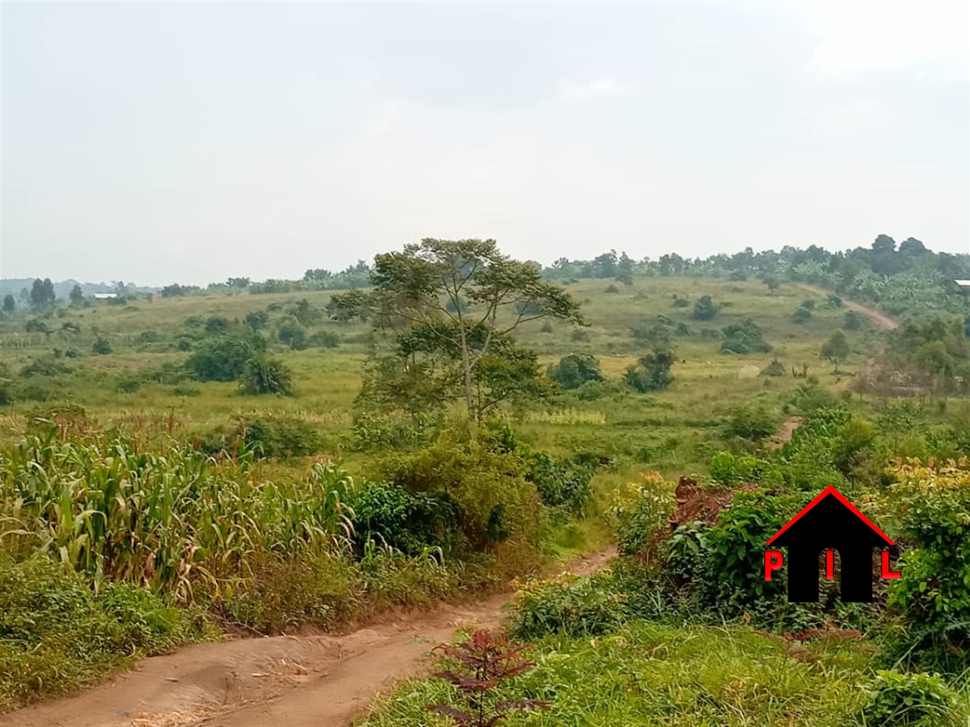 Agricultural Land for sale in Rwanyangwe Kiruhura