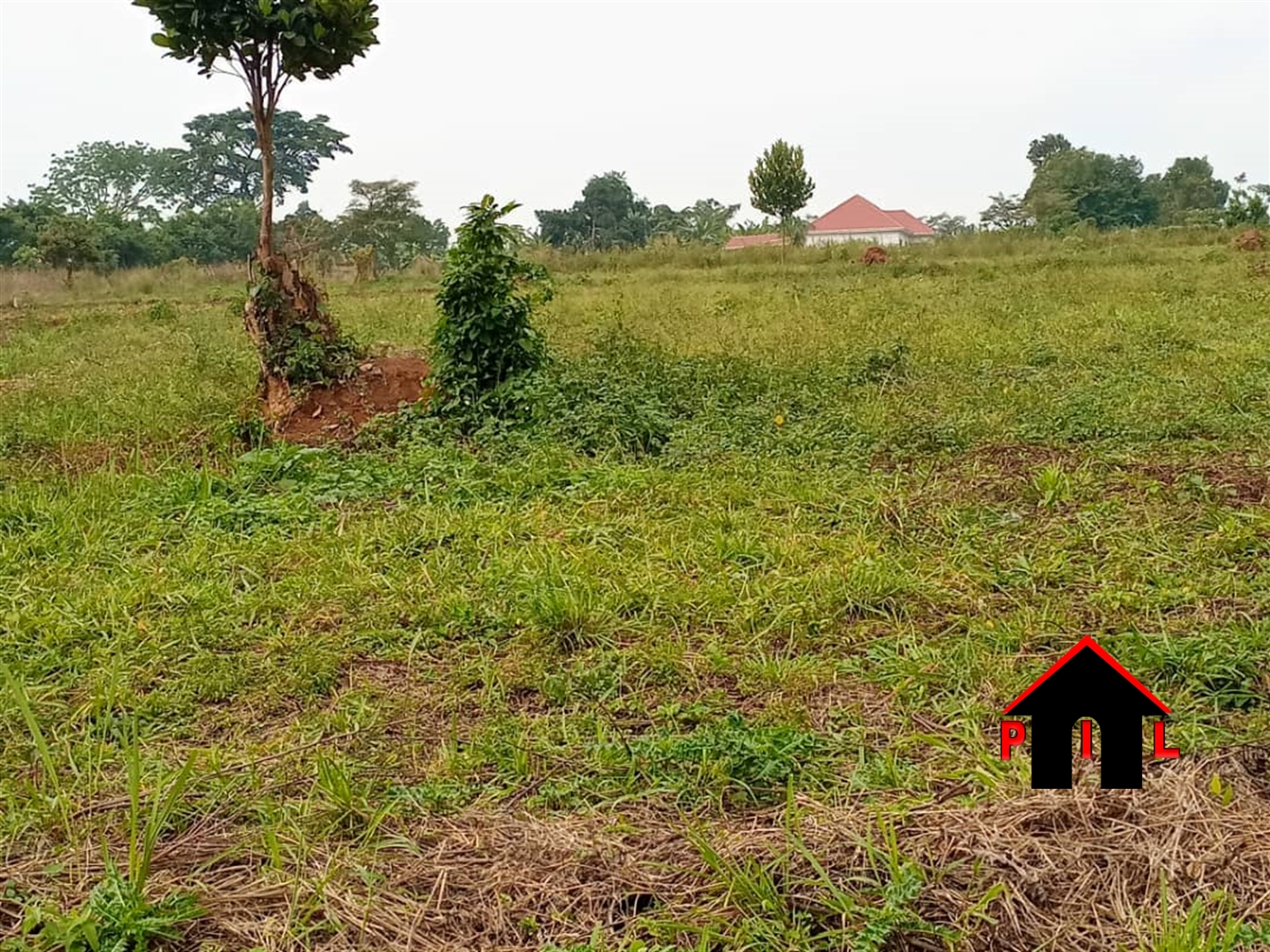 Agricultural Land for sale in Rwanyangwe Kiruhura