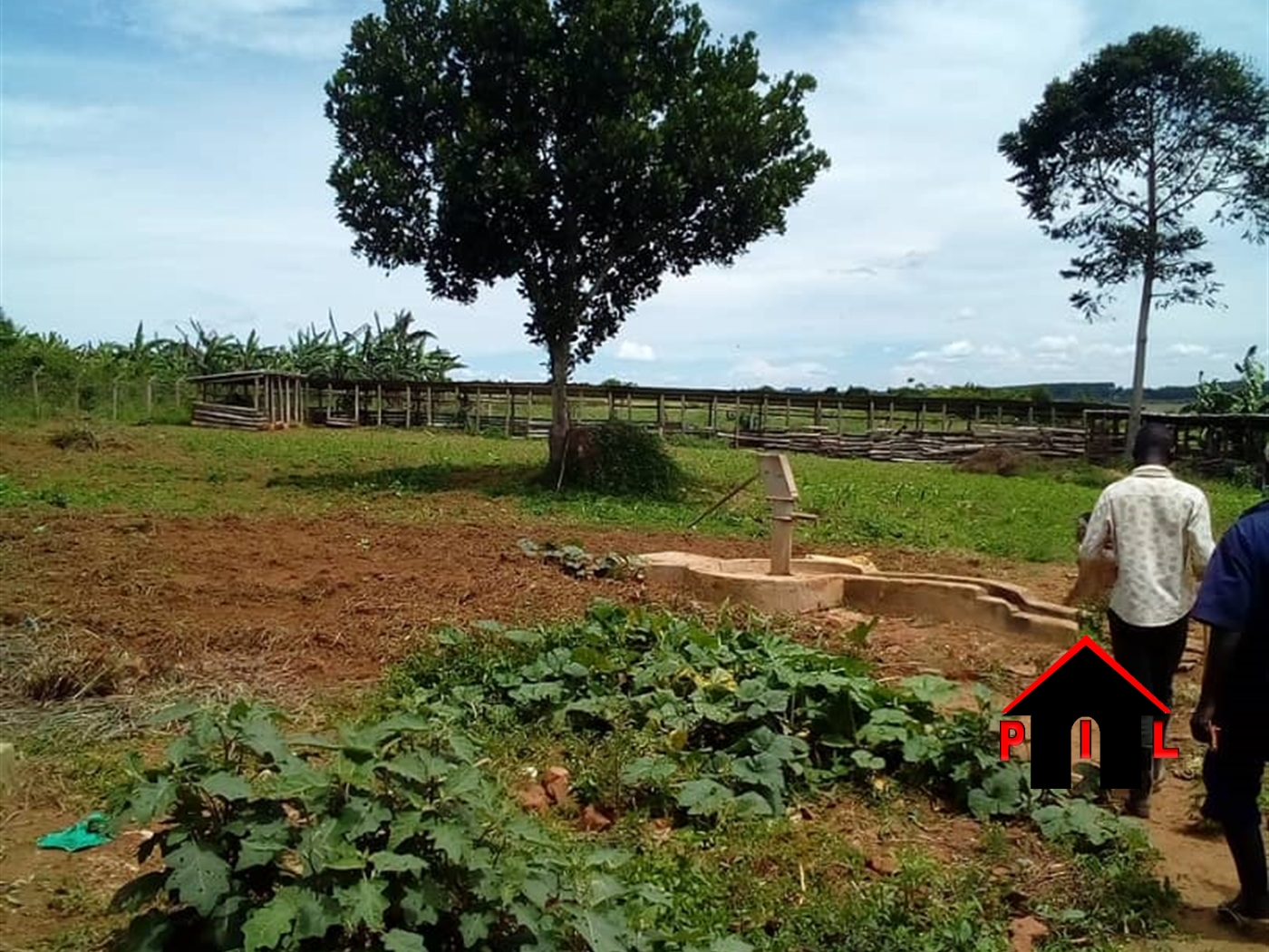 Agricultural Land for sale in Kikatsi Kiruhura