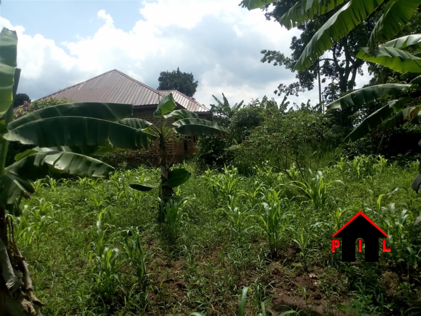 Agricultural Land for sale in Rubaya Mbarara